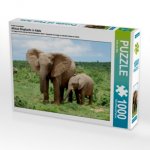 Ein Motiv aus dem Kalender African Elephants in Addo (Puzzle)