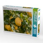 Ein Motiv aus dem Kalender Emotionale Momente: Orangen und Zitronen. (Puzzle)
