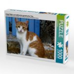 Junge Kätzin vor traditioneller griechischer Türe (Puzzle)