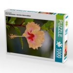 Ein Motiv aus dem Kalender Zarte Schönheiten - Herrliche Hibiskusblüten (Puzzle)