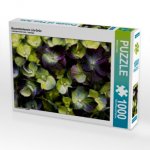 Bauernhortensie Lila-Grün (Puzzle)