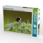 Fleißiges Bienchen in der Natur (Puzzle)
