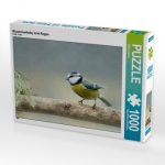 Blaumeisenbaby lernt fliegen (Puzzle)