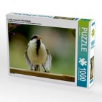 Lustig singendes Meisenbaby (Puzzle)