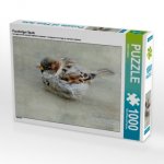 Puscheliger Spatz (Puzzle)