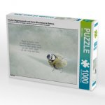 Irischer Segenswunsch und kleine Blaumeise im Schnee (Puzzle)