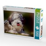 Der PON (Puzzle)