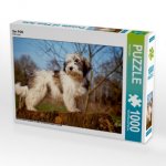 Der PON (Puzzle)