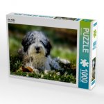 Der PON (Puzzle)