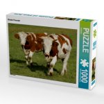 CALVENDO Puzzle Rinder Freunde 1000 Teile Lege-Größe 64 x 48 cm Foto-Puzzle Bild von kattobello