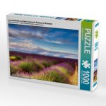 Lavendelfelder auf dem Valensole Plateau im Sommer (Puzzle)