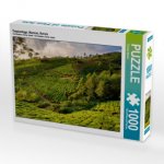 Teeplantage, Munnar, Kerala (Puzzle)