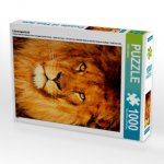 Löwenportrait (Puzzle)