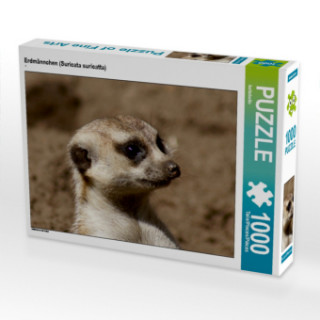 CALVENDO Puzzle Erdmännchen (Suricata suricatta) 1000 Teile Lege-Größe 64 x 48 cm Foto-Puzzle Bild von kattobello