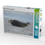 CALVENDO Puzzle Robbe am Strand von Helgoland 1000 Teile Lege-Größe 64 x 48 cm Foto-Puzzle Bild von kattobello