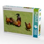 CALVENDO Puzzle Kunterbunte Hühnerschar 1000 Teile Lege-Größe 64 x 48 cm Foto-Puzzle Bild von kattobello