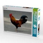 CALVENDO Puzzle Bunter Hahn 1000 Teile Lege-Größe 64 x 48 cm Foto-Puzzle Bild von kattobello