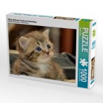 Süßes Britisch Kurzhaar Katzenbaby (Puzzle)