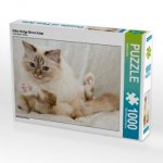 Süße Heilige Birma Katze (Puzzle)