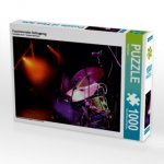 Faszinierendes Schlagzeug (Puzzle)
