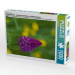 Ein Motiv aus dem Kalender Zauber der Natur - Heimische Orchideen und Wiesenblumen (Puzzle)