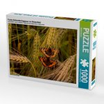 Fuchs-Schmetterlingspaar im Weizenfeld (Puzzle)
