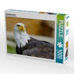 Weißkopfseeadler (Puzzle)