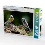 Zwei Blaumeisen auf einem Baumstumpf (Puzzle)