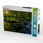 Ein Bach im Harz (Puzzle)