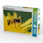 Ein Motiv aus dem Kalender Bienen - Fleißige Gartenbewohner (Puzzle)