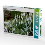 Im März die ersten Schneeglöckchen (Puzzle)