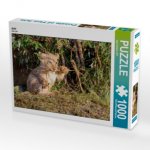 Juni (Puzzle)