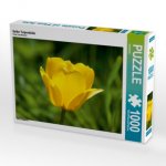 Gelbe Tulpenblüte (Puzzle)