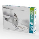 Schneehase im Winterfell (Puzzle)