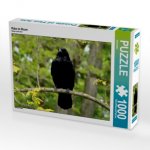 Rabe im Baum (Puzzle)