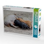 Mikroschwein Familie (Puzzle)