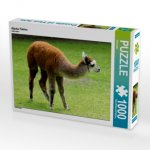 Alpaka Fohlen (Puzzle)