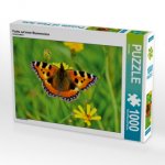 Fuchs auf einer Blumenwiese (Puzzle)