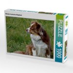 Miniatur Australian Shepherd (Puzzle)