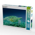 Meeresschildkröte (Puzzle)
