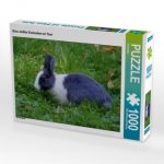 CALVENDO Puzzle Grau weißes Kaninchen on Tour 1000 Teile Lege-Größe 64 x 48 cm Foto-Puzzle Bild von Kattobello