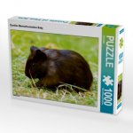 CALVENDO Puzzle Dunkles Meerschweinchen Baby 1000 Teile Lege-Größe 64 x 48 cm Foto-Puzzle Bild von Kattobello