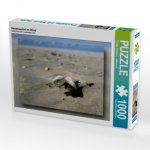 Herzmuschel im Wind (Puzzle)
