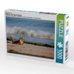 Ein Motiv aus dem Kalender Baltrum - Ein Tag am Strand (Puzzle)