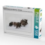 Ein Motiv aus dem Kalender Emotionale Momente: Das Wildschwein. / CH-Version (Puzzle)