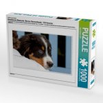 Ein Motiv aus dem Kalender Emotionale Momente: Berner Sennenhund. / CH-Version (Puzzle)