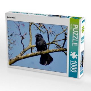 CALVENDO Puzzle Stolzer Rabe 1000 Teile Lege-Größe 64 x 48 cm Foto-Puzzle Bild von Kattobello