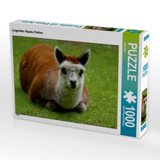 Liegendes Alpaka Fohlen (Puzzle)