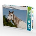 Ein Motiv aus dem Kalender Lustiger Schimmel - ein Pferd mit Humor (Puzzle)