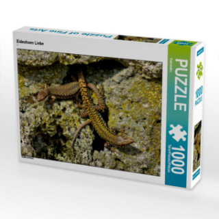 CALVENDO Puzzle Eidechsen Liebe 1000 Teile Lege-Größe 64 x 48 cm Foto-Puzzle Bild von Kattobello